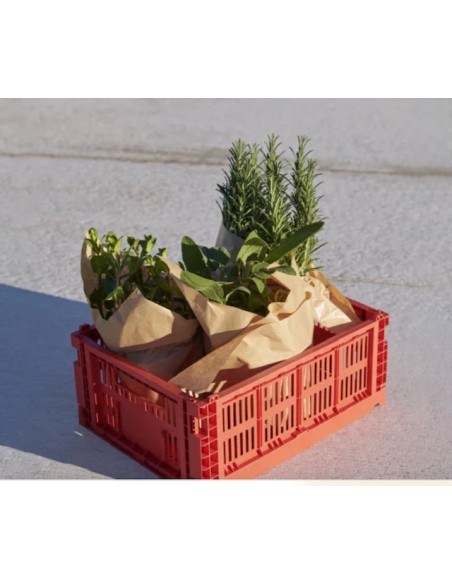 COUVERCLE CAGETTE ROUGE