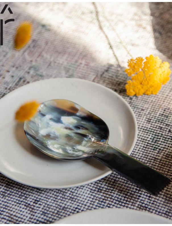 CUILLERE A RIZ EN CORNE