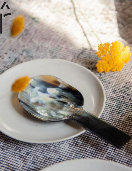 CUILLERE A RIZ EN CORNE